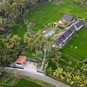 green-coconut-cottage.ubudhotelsnow.com/